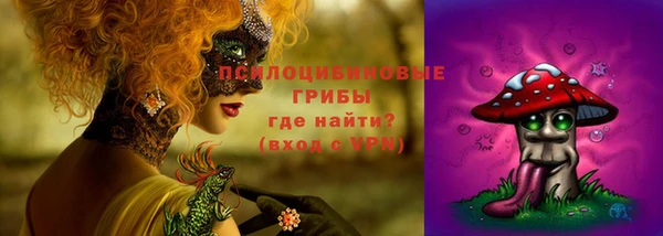 молекула духа Алексин