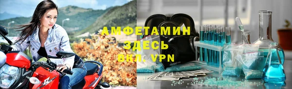 молекула духа Алексин